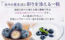 南紀白浜産ブルーベリー&nbsp;約400g
