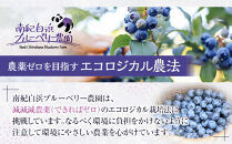 南紀白浜産ブルーベリー&nbsp;約400g