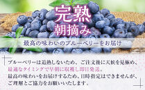 南紀白浜産ブルーベリー&nbsp;約400g