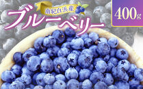 南紀白浜産ブルーベリー&nbsp;400g