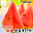 ［先行予約&nbsp;2027年6月発送］厳選&nbsp;小玉すいか&nbsp;Mサイズ／2玉入り［農家直送］［先行予約］［和歌山県産］［MS127］