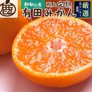 ＜先行予約＞厳選有田みかん4.5kg+135g（傷み補償分）【光センサー選果】