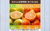 ［先行予約］家庭用&nbsp;有田みかん5kg+250g（傷み補償分）［2026年10月初旬から2027年1月末日頃順次発送予定］［IKE247］