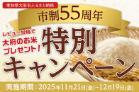 ＼レビュー投稿でお米プレゼント／玉清屋 生おせち 春彩 和洋中三段重 43品（3～5人前） 冷蔵発送・12/31到着限定 おせち料理 2026 玉清屋おせち おせち料理 おせち三段重 数量限定おせち 大府市おせち 生おせち 年内配送 年末発送 おせち 御節 人気 おすすめ 定番 年内発送 期間限定 osechi オセチ お取り寄せ 新春 迎春おせち 和洋中おせち