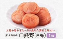 紀州南高梅　口熊野（白梅）1kg 塩分約22％