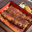 【お得・松】蒲焼セット（ながやき3・半身5）