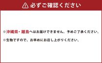 ミニトマト かりんちゃん 約3kg トマト 高糖度