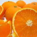 【訳あり】清見オレンジ 約5kg【農家直送】【先行予約】【和歌山県産】【2025年2月下旬～3月下旬発送】