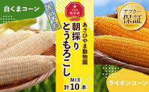 【26年発送先行予約】朝採りとうもろこしMIX10本&nbsp;4kg&nbsp;あさひやま動物園&nbsp;白くまコーンとライオンコーンのミックス（2026年8月中旬から発送開始予定）【&nbsp;とうもろこし&nbsp;人気&nbsp;北海道&nbsp;糖度&nbsp;野菜&nbsp;白いとうもろこし&nbsp;白いスイートコーン&nbsp;産地直送&nbsp;ホワイトレディ&nbsp;ゴールドラッシュ&nbsp;コーン&nbsp;玉蜀黍&nbsp;旬&nbsp;お取り寄せ&nbsp;旭川市&nbsp;北海道&nbsp;】_02157