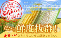 【26年発送先行予約】朝採りとうもろこしMIX10本&nbsp;4kg&nbsp;あさひやま動物園&nbsp;白くまコーンとライオンコーンのミックス（2026年8月中旬から発送開始予定）【&nbsp;とうもろこし&nbsp;人気&nbsp;北海道&nbsp;糖度&nbsp;野菜&nbsp;白いとうもろこし&nbsp;白いスイートコーン&nbsp;産地直送&nbsp;ホワイトレディ&nbsp;ゴールドラッシュ&nbsp;コーン&nbsp;玉蜀黍&nbsp;旬&nbsp;お取り寄せ&nbsp;旭川市&nbsp;北海道&nbsp;】_02157