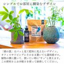 植物由来100％ 天然土壌菌入りオーガニック肥料 湖の恵 添加タイプ 350g×3袋