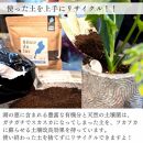 植物由来100％ 天然土壌菌入りオーガニック肥料 湖の恵 はじめてのお試しセット