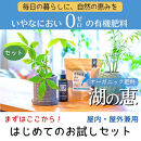 植物由来100％&nbsp;天然土壌菌入りオーガニック肥料&nbsp;湖の恵&nbsp;はじめてのお試しセット