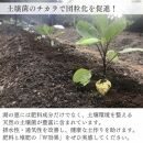 植物由来100％ 天然土壌菌入りオーガニック肥料 湖の恵 家庭菜園のお手入れセット