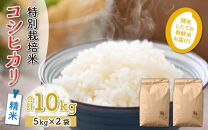 【令和5年産】特別栽培米 精米 コシヒカリ 10kg（5kg×2袋） ＜食味値85点以上！低農薬栽培＞ ／ 高品質 鮮度抜群 福井県あわら市産 ブランド米 白米《出荷直前精米でお届け！》