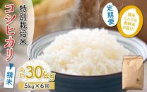 【令和5年産】《定期便6回》特別栽培米 精米 コシヒカリ 5kg（計30kg）＜食味値85点以上！低農薬栽培＞ ／ 高品質 鮮度抜群 福井県 あわら産 ブランド米 白米 お米 米《出荷直前精米でお届け！》