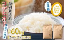 【玄米】【令和5年産新米】《定期便6回》特別栽培米 コシヒカリ 5kg×2袋 10kg（計60kg）