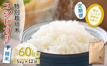 【令和5年産】《定期便12回》特別栽培米 精米 コシヒカリ 5kg（計60kg）＜食味値85点以上！低農薬栽培＞ ／ 高品質 鮮度抜群 福井県あわら市産 ブランド米 白米 《出荷直前精米でお届け！》