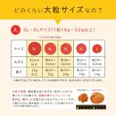 塩分3％ 完熟梅干しつぶれ梅 はちみつ梅 800g ふるさと納税