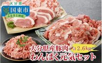 大分県産豚わんぱく元気セット2.6kg_1827R