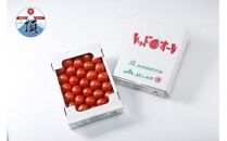 完熟中玉トマト　レッドオーレ2箱セット【12月以降順次発送】