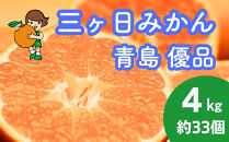 三ヶ日みかん（青島温州）4kg【2027年1月以降順次発送】