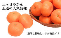 三ヶ日みかん（青島温州）4kg【2027年1月以降順次発送】
