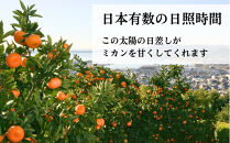 三ヶ日みかん（青島温州）4kg【2027年1月以降順次発送】