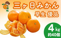 三ヶ日みかん（早生温州）4kg【2026年11月中旬から12月上旬順次発送】