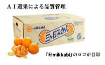 三ヶ日みかん（早生温州）4kg【2026年11月中旬から12月上旬順次発送】
