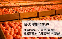 三ヶ日みかん　本貯蔵青島みかん「誉れ」【2027年3月以降順次発送】