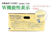 三ヶ日みかん　本貯蔵青島みかん「誉れ」【2027年3月以降順次発送】