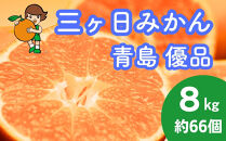 三ヶ日みかん（青島温州）8kg【2027年1月以降順次発送】
