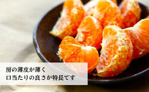 三ヶ日みかん（早生温州）8kg【2026年11月中旬から12月上旬順次発送】