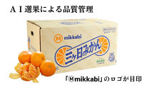 三ヶ日みかん（早生温州）8kg【2026年11月中旬から12月上旬順次発送】