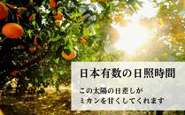 三ヶ日みかん（早生温州）8kg【2026年11月中旬から12月上旬順次発送】