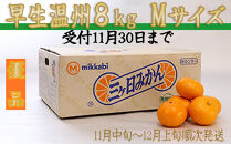 三ヶ日みかん（早生温州）8kg【2026年11月中旬から12月上旬順次発送】