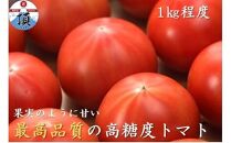 高糖度トマト「アメーラ」1kg程度