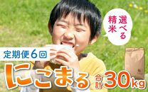 【玄米】【令和5年産】《定期便6回》にこまる 5kg（計30kg）