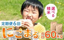 【玄米】【令和5年産】《定期便6回》にこまる 5kg×2袋 10kg（計60kg）