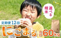 【玄米】【令和5年産】《定期便12回》にこまる 5kg（計60kg）