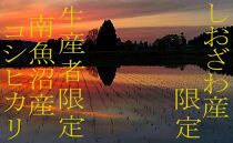 【令和7年産】【精米5kg】しおざわ産限定&nbsp;生産者限定&nbsp;南魚沼産コシヒカリ