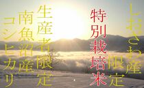 【令和7年産】【精米4kg】特別栽培&nbsp;しおざわ産限定&nbsp;生産者限定&nbsp;南魚沼産コシヒカリ