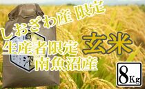 【令和7年産】【8kg】玄米&nbsp;しおざわ産限定&nbsp;生産者限定&nbsp;南魚沼産コシヒカリ