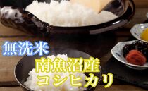 【令和7年産】【定期便2kg×6ヶ月】●吟精&nbsp;無洗米●南魚沼産コシヒカリ