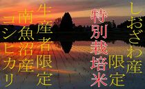 【令和7年産】【定期便2kg×6ヶ月】特別栽培&nbsp;しおざわ産限定&nbsp;生産者限定&nbsp;南魚沼産コシヒカリ