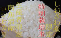 【令和7年産】【定期便6kg×9ヶ月】特別栽培&nbsp;しおざわ産限定&nbsp;生産者限定&nbsp;南魚沼産コシヒカリ