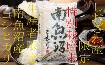 【令和7年産】【定期便10kg×6ヶ月】特別栽培&nbsp;しおざわ産限定&nbsp;生産者限定&nbsp;南魚沼産コシヒカリ
