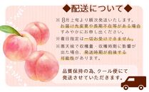 和歌山県産 川中島白桃 桃 白桃 11-16玉入り ご家庭用 青秀【2024年8月上旬より順次発送】