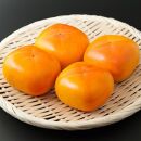 和歌山の平たねなし柿 約7.5kg（fr-01）【先行予約】【秋の美味】【2023年10月上旬頃～11月上旬頃配送】
